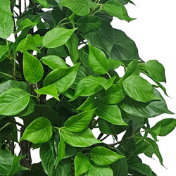 Bodhi Tree 1.5m (Buddha Tree) - artificial plants, flowers & trees - image 1