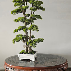 Bonsai Pine- xlge - artificial plants, flowers & trees - image 2