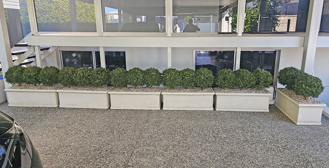 Boxwood Topiary 55cm UV