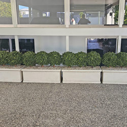 Boxwood Topiary 55cm UV - artificial plants, flowers & trees - image 4