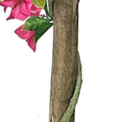Bougainvillea Topiary- UV 1.6m  - artificial plants, flowers & trees - image 2