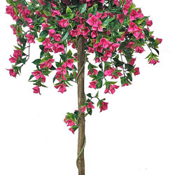 Bougainvillea Topiary- UV 1.6m  - artificial plants, flowers & trees - image 3