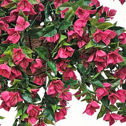 Bougainvillea Topiary- UV 1.6m  - artificial plants, flowers & trees - image 1