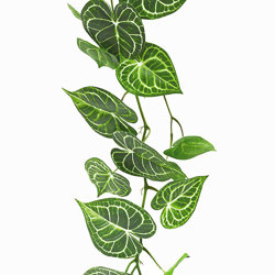 Trailing Vine- 1.2m Caladium white-green - artificial plants, flowers & trees - image 1