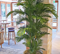 Stunning RSL Refurb finished off with a Green-Makeover...