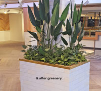 Stunning RSL Refurb finished off with a Green-Makeover...
