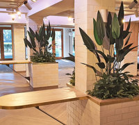 Stunning RSL Refurb finished off with a Green-Makeover...