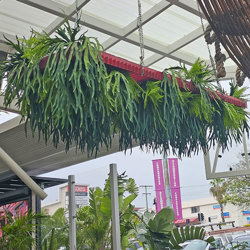 Staghorn Fern in pot - artificial plants, flowers & trees - image 2