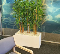 'Covid-Barriers'...fresh-looking green partitions to direct & screen...