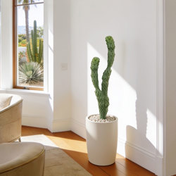 Cactii- Baja Cactus double-trunk 1.4m - artificial plants, flowers & trees - image 2