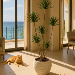 Dracaena Marginata Tree- 2.1m with 7 heads  - artificial plants, flowers & trees - image 6