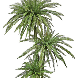 Fern Palm 1.75m triple-stem - artificial plants, flowers & trees - image 2