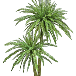 Fern Palm 1.6m dbl-stem  - artificial plants, flowers & trees - image 2