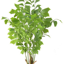 Fish-Tail Palm 1.5m  - artificial plants, flowers & trees - image 2