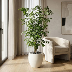 Fish-Tail Palm 2.1m - artificial plants, flowers & trees - image 4