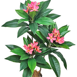 Franjipani- pink flowers 90cm  - artificial plants, flowers & trees - image 2
