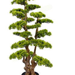 Bonsai Pine- xlge - artificial plants, flowers & trees - image 3