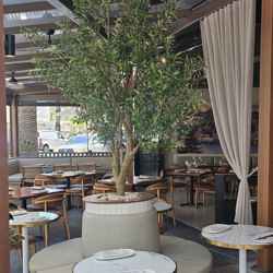 Giant Olive Tree- 2.7m tall - artificial plants, flowers & trees - image 2