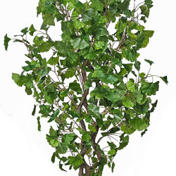 Gingko Tree 1.7m - artificial plants, flowers & trees - image 2