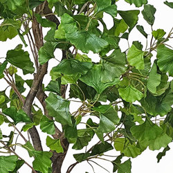 Gingko Tree 1.7m - artificial plants, flowers & trees - image 1