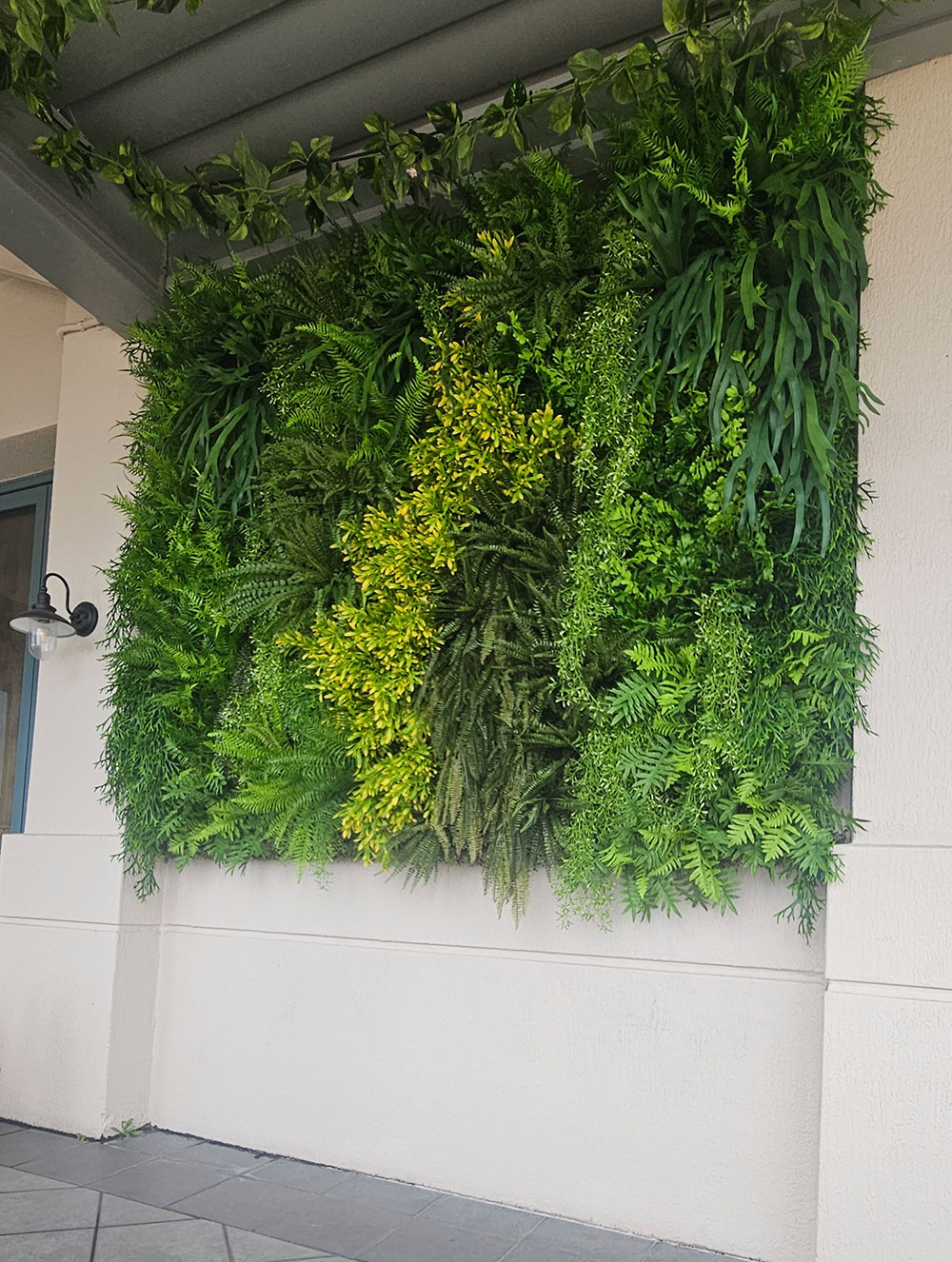 External Green-Wall adds a splash of colour