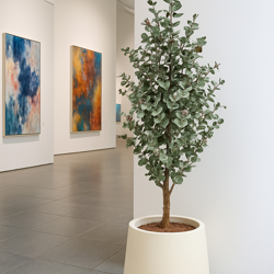 Eucalyptus 'Sweet Gum' 1.8m - artificial plants, flowers & trees - image 3