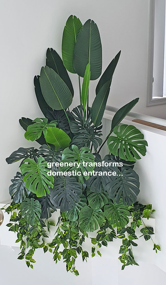 From Domestic eyesore to stunning Greenery Feature- easy | Interior Gardens