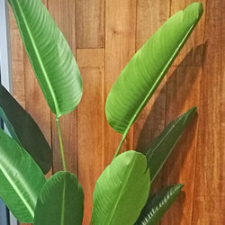 Trough Planters- with Heliconia Palms 1.7m tall  - artificial plants, flowers & trees - image 1