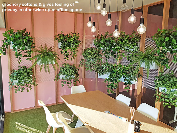 Trendy E-Marketing Head Office goes green... image 9