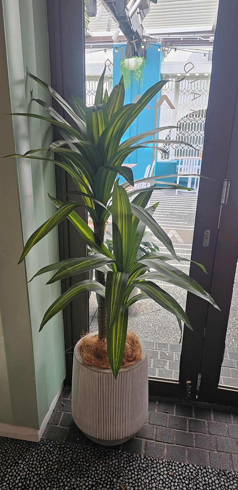 Happy Plant 1.5m double