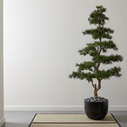 Japanese Black Pine 1.8m UV-rated - artificial plants, flowers & trees - image 3