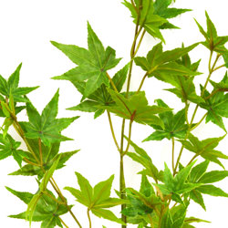 Japanese Maple 1.7m - artificial plants, flowers & trees - image 1