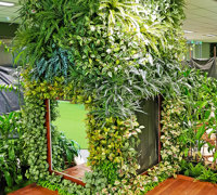 New gardens for modern Kindergarten...