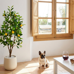 Fruit Tree- Lemon 1.2m - artificial plants, flowers & trees - image 3
