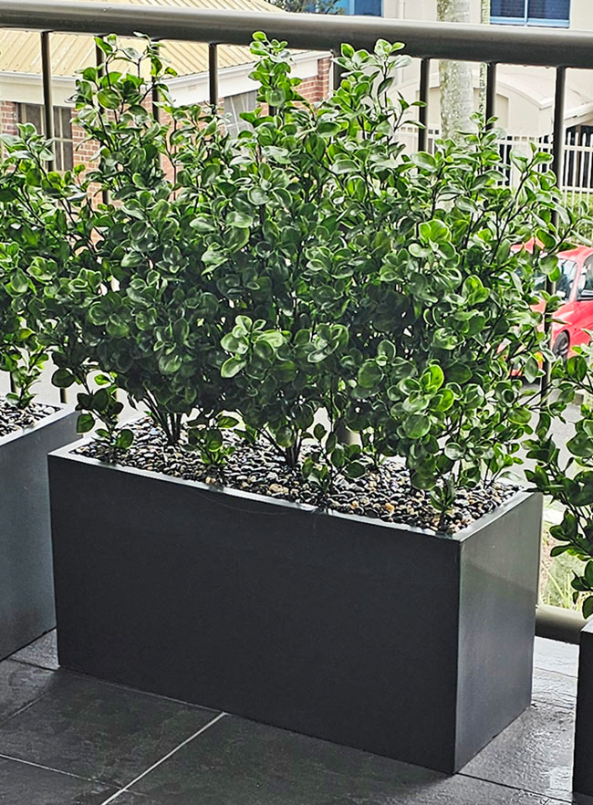 Trough Planters- with Lucky Jade Plants UV 1m 