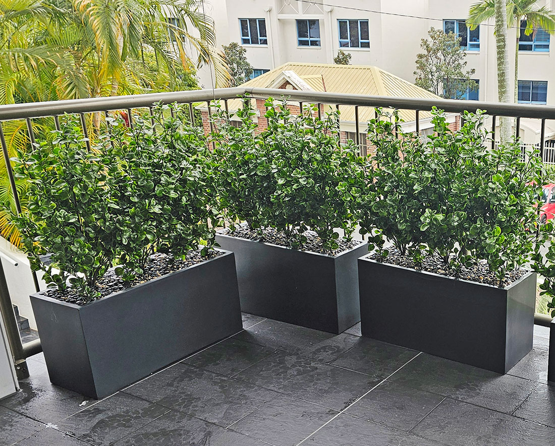 Trough Planters- with Lucky Jade Plants UV 1m 