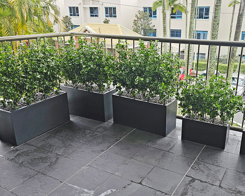 Outdoor Settings