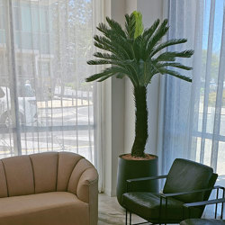 Cycad Palm 2m (Copy-1) - artificial plants, flowers & trees - image 5