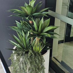Agave Plant 1.3m with 4 heads UV - artificial plants, flowers & trees - image 2