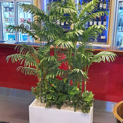 Trough Planters- with Mini-Cane Palms 1.7m tall  - artificial plants, flowers & trees - image 1