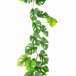Trailing Vine- 1.75m Mini-Monstera - artificial plants, flowers & trees - image 1