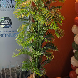 Phoenix Palm 2.1m  - artificial plants, flowers & trees - image 3