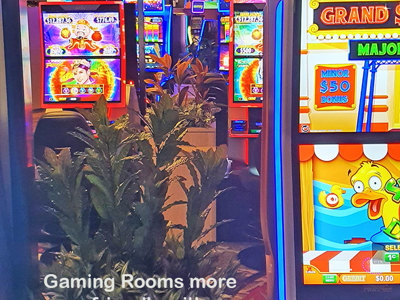 Gaming-Rooms made more inviting & social distancing compliant with a little Green Help...