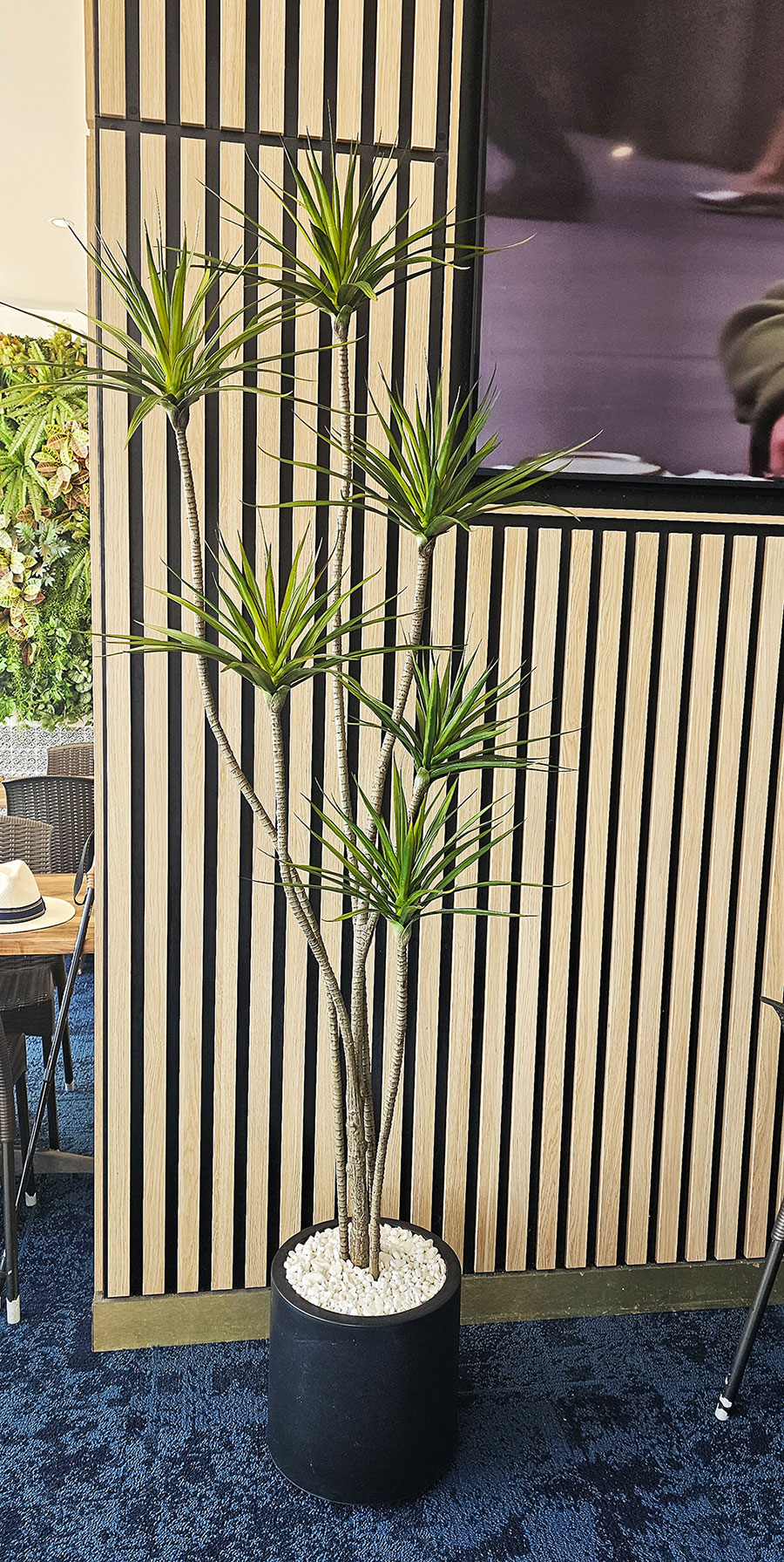 Planters- Cylinder Pot lge -black