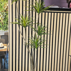 Planters- Cylinder Pot lge -black - artificial plants, flowers & trees - image 5
