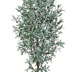 Olive Tree- deluxe 2.1m  - artificial plants, flowers & trees - image 2