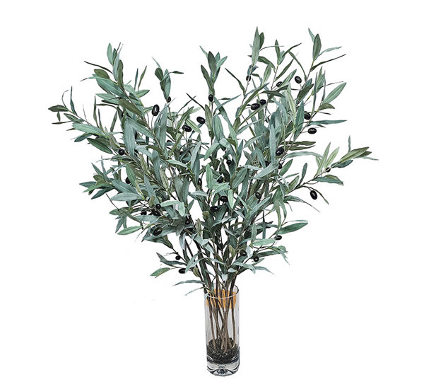Leaf Sprays- Olives