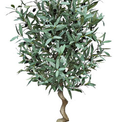 Olive Topiary Tree- 1.6m - artificial plants, flowers & trees - image 2