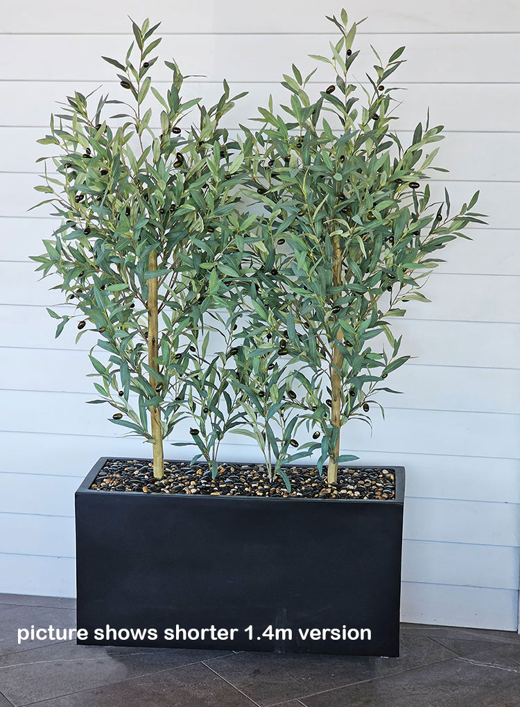 Trough Planters- with Olive Trees 1.7m