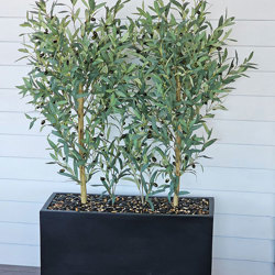 Trough Planters- with Olive Trees 1.7m - artificial plants, flowers & trees - image 2